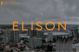 Elison: The Sans Serif Font for Clear Business Branding
