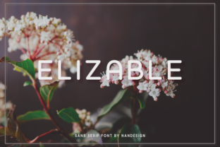 Elizable: A Clean Sans Serif Typeface for Modern Campaigns