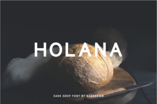 Holana: A Clean Sans Serif Font for Small Business Branding