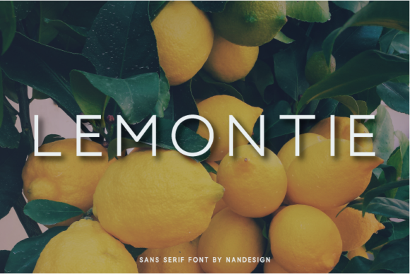 Lemontie Font Review: A Modern Sans Serif for Campaigns
