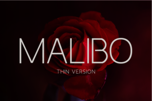 Malibo Thin: A Timeless Sans Serif Font for Small Business Branding
