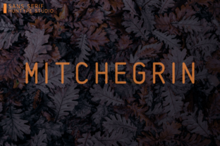 Mitchegrin: The Versatile Sans Serif Font for Modern Brands