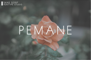 Pemane Font: The Minimalist Typeface for Handmade Brands