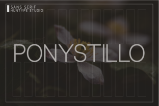 Ponystillo: A Refined Sans Serif for Modern Editorial Design