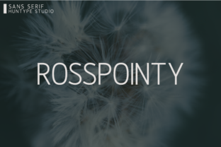Rosspointy: The Clean Sans Serif Typeface for Modern Brands