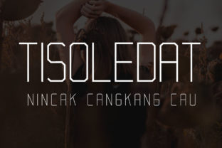Tisoledat: A Modern Sans Serif Font for Bold Campaigns